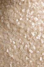 Pearl Bay Sequin Mini Dress