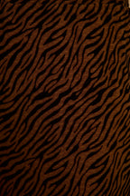 Silver Springs Cognac Zebra Flare Pants